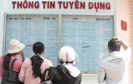 Chuyên gia việc làm tư vấn chọn ngành nghề trong kỳ thi ĐH