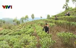 Xây dựng nông thôn mới ở bản người Mông