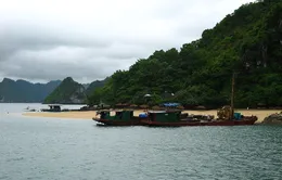 Sẽ xây dựng tượng đài người anh hùng Titov trên vịnh Hạ Long