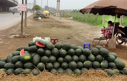 Ùn tắc ở Tân Thanh, dưa hấu giá rẻ tràn về Hà Nội
