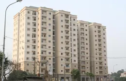 Thứ trưởng Bộ Xây dựng Nguyễn Trần Nam: Xu hướng giảm giá BĐS đã dừng