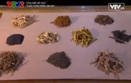 Bài thuốc chữa dị ứng hiệu quả