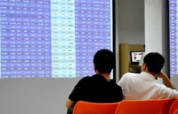 Sau mùa kiểm toán, cổ phiếu hủy niêm yết tăng vọt