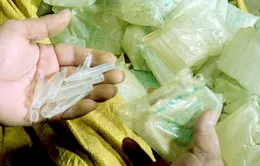 Hà Nội: Thu giữ 230.000 ống thuốc kích thích rau quả