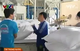 Doanh nghiệp mong mỏi ổn định tỷ giá