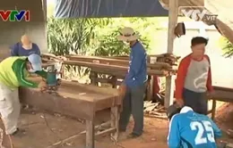 Việt kiều Thái Lan giúp nhau phát triển kinh tế