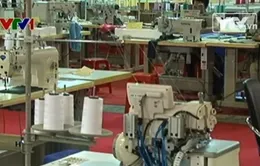 TP.HCM: Tháo gỡ khó khăn nhập nguyên phụ liệu từ nước ngoài