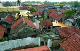 Từ 1/7, miễn tiền sử dụng đất cho nhiều trường hợp