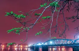TT-Huế tăng cường quản lý quảng cáo, rao vặt gây tiếng ồn