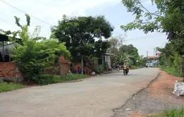 TP.HCM: Nạn trộm chó ngày càng manh động