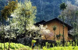 Hà Giang phát triển du lịch cộng đồng tại làng bản