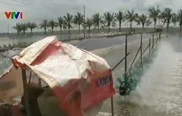 Đưa nước mặn vào vùng ngọt hóa để nuôi tôm: Lợi bất cập hại!