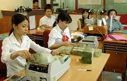 Sẽ xử lý dứt điểm trường hợp sở hữu cổ phần vượt giới hạn tại TCTD