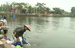 Hà Nội: Cả làng sống bằng nước… ao tù