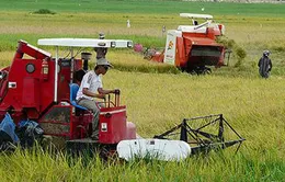 Hỗ trợ 100% lãi suất vay mua máy nông nghiệp