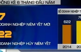 Mới có 7 doanh nghiệp niêm yết mới trên sàn trong 6 tháng đầu năm