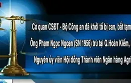 Bắt nguyên Ủy viên Hội đồng thành viên Agribank