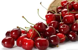 Quả anh đào tốt cho người bị gout