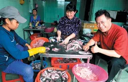 "Khám phá Việt Nam cùng Martin Yan" sắp lên sóng truyền hình Mỹ