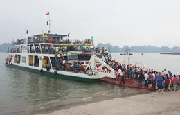 Thêm phà mới hoạt động tuyến Tuần Châu - Cát Bà