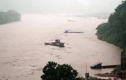 Mưa to, lũ lớn bất ngờ gây thiệt hại tại Lào Cai