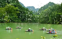 Hiệp hội lữ hành khảo sát du lịch Ninh Bình