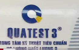 16 tấn bột sương sáo: Yêu cầu báo cáo chi tiết quy trình kiểm định 