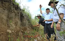 Gia Lai: Phát hiện di tích khảo cổ học niên đại hàng chục vạn năm