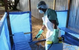 Cảnh báo dịch Ebola có thể vào Việt Nam qua đường du lịch