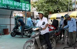 Quảng Ngãi: Giải pháp cho nguồn nguyên liệu xăng sinh học E5