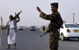 Phiến quân al-Qaeda sát hại 14 binh sĩ Yemen