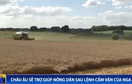 Châu Âu sẽ trợ giúp nông dân sau lệnh cấm vận của Nga