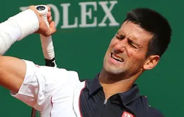 Novak Djokovic dính chấn thương trước thềm Wimbledon 2014