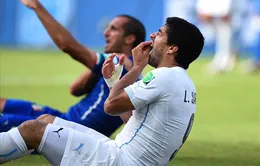 Luis Suarez viết “tâm thư” thừa nhận có tội