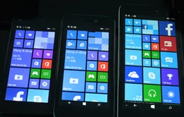 Q-Mobile ra mắt loạt smartphone chạy Windows Phone 8.1