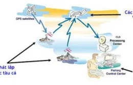 Bến Tre lắp thiết bị kết nối vệ tinh cho tàu đánh bắt xa bờ
