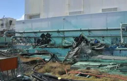 Nhật Bản cần 40 năm để dừng hoạt động nhà máy Fukushima