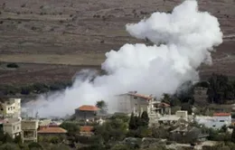 Thế giới phản đối Israel không kích Syria