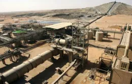 Đánh bom kép tại Niger, 21 người chết