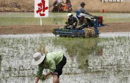 Triều Tiên cải cách nông nghiệp