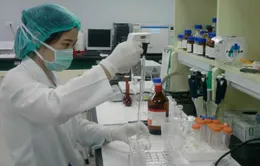 Việt Nam có thể sản xuất được vaccine cúm A/H1N1