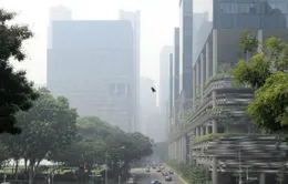 Khói độc hại bao phủ Singapore
