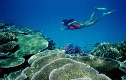 Máy bay Mỹ thả bom không kíp nổ xuống biển Australia