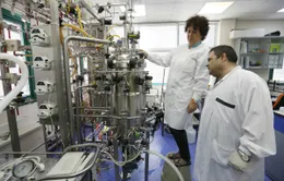 Israel phát triển vaccine viêm gan B mới