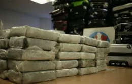Venezuela bắt giữ nghi can liên quan vụ vận chuyển cocaine