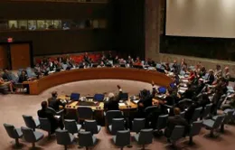 Syria bác bỏ kế hoạch chuyển tiếp không có Tổng thống Assad