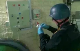 OPCW kêu gọi ngừng bắn tạm thời tại Syria
