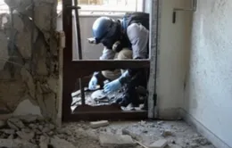 Nga: Có tiến triển trong thanh sát vũ khí hóa học ở Syria