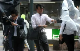 14 người thiệt mạng do bão Wipha ở Nhật Bản