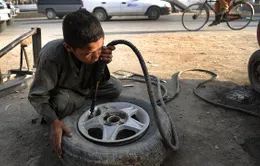 Khó tìm việc làm như ở Afghanistan 